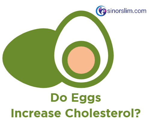Do Eggs Increase Cholesterol?